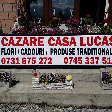 Hotel Casa Lucas à Bradu  Extérieur photo