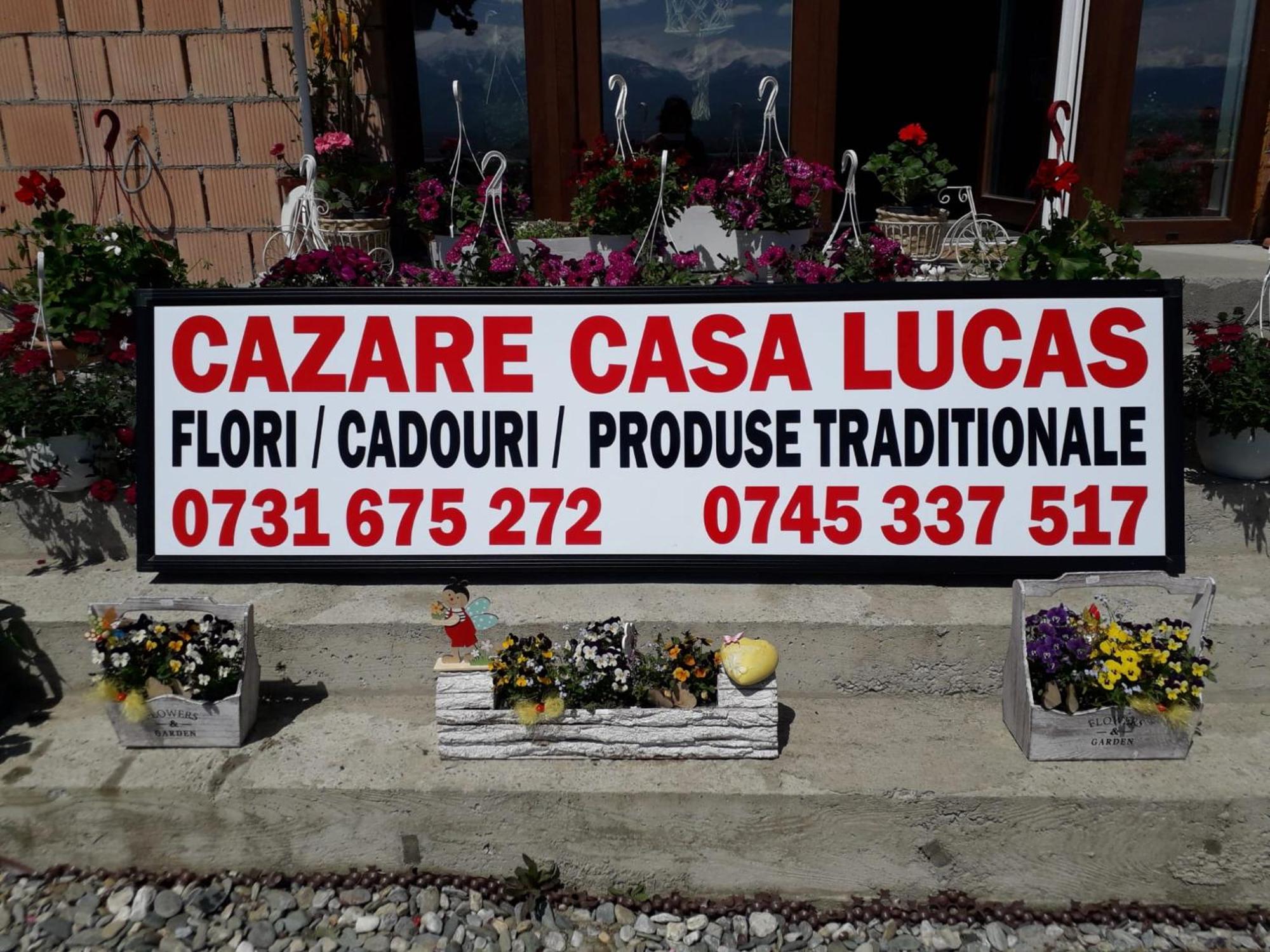 Hotel Casa Lucas à Bradu  Extérieur photo